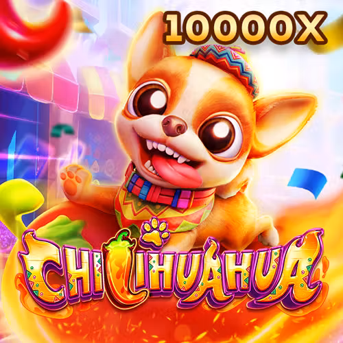 zo88 + fachai_chihuahua_portrait